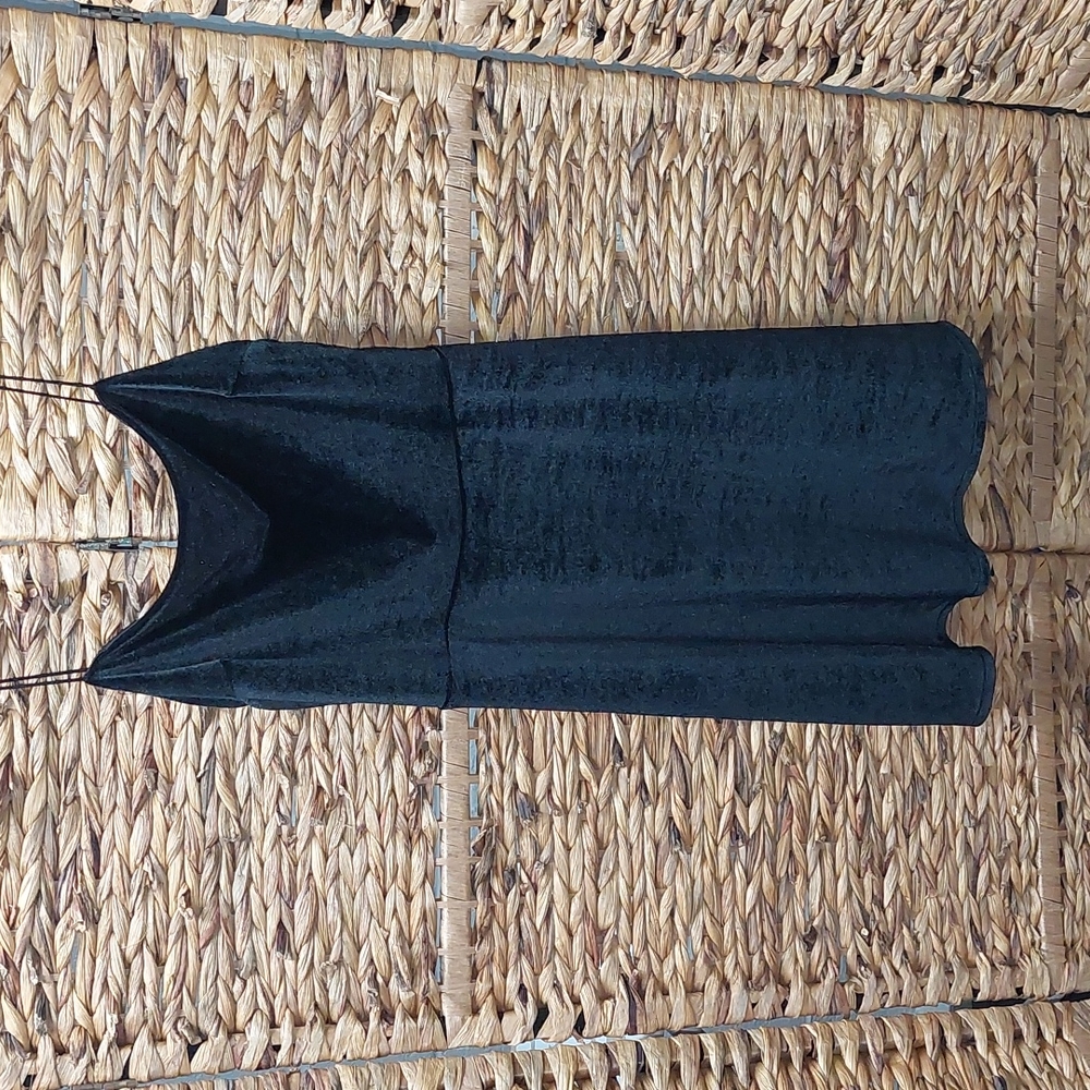 NWOT Urban Outfitters Velour Dress